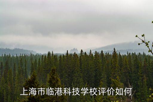 上海市臨港科技學校南校區，上海市臨港科技學校新校區周邊交通