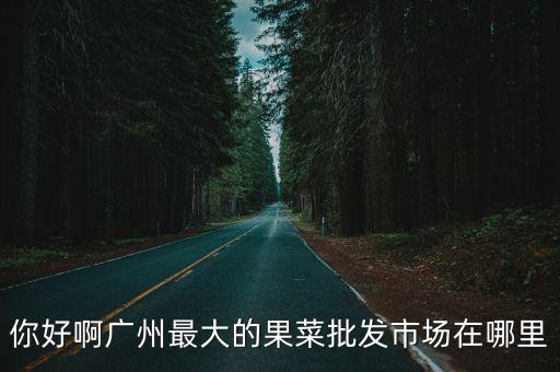 你好啊廣州最大的果菜批發市場在哪里