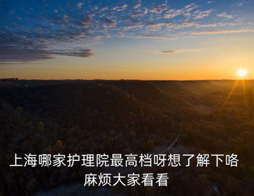 上海市退休職工南匯護理院，上海呵護家養老院的地址在哪