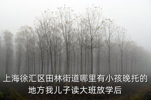 上海市徐匯區 田林 托兒所，上海徐匯好的晚托班和寒托班