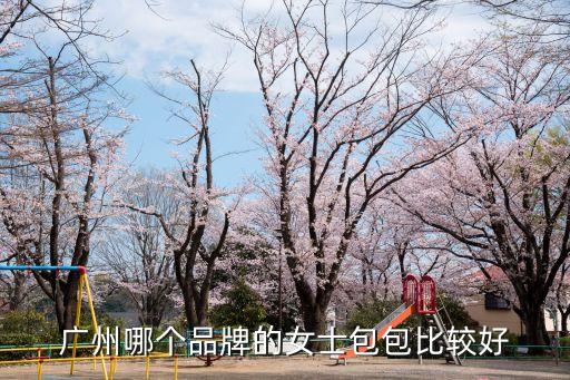 lv盒子和廣州包包哪個(gè)好，廣州哪個(gè)品牌的女士包包比較好