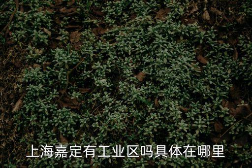 上海嘉定有工業區嗎具體在哪里