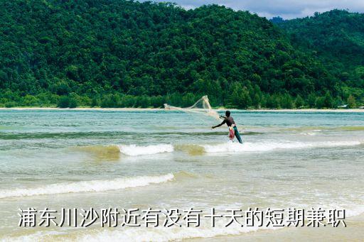 上海市川沙招兼職，浦東川沙哪有臨時工做