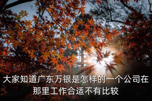 大家知道廣東萬銀是怎樣的一個公司在那里工作合適不有比較