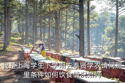 我是上海學生下學期去奉賢學農請問那里條件如何飲食情況如何
