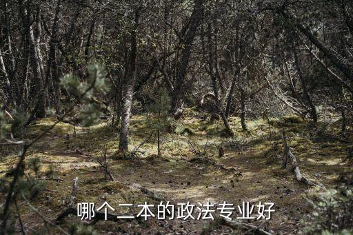 上海市教委 陳 平，高中選擇文科后大專是否不能學習機械