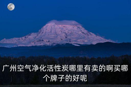 廣州空氣凈化活性炭哪里有賣的啊買哪個牌子的好呢