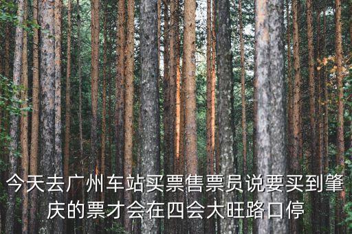 今天去廣州車站買票售票員說要買到肇慶的票才會在四會大旺路口停