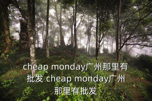廣州泰思肯電鏡廠家，cheap monday廣州那里有批發 cheap monday廣州那里有批發