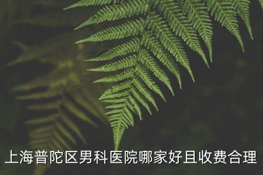 上海市 普陀區 大調研，在上海普陀區祁連山路210號的上海皖東人力資源管理咨詢有限公司是