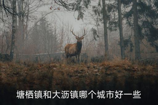 塘棲鎮和大瀝鎮哪個城市好一些