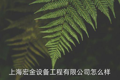 上海市宏金設(shè)備有限公司，上海宏金設(shè)備有限公司是遠東宏信的下屬公司那么這個公司的面試