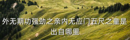 外無期功強勁之親內無應門五尺之童是出自哪里
