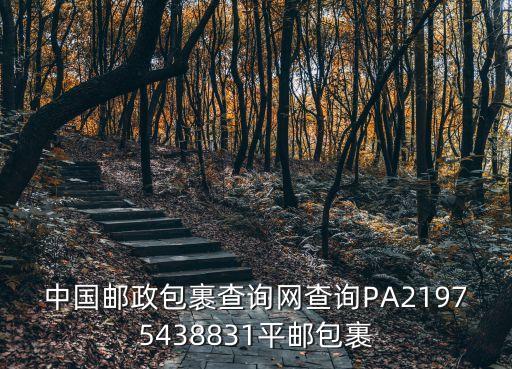 中國郵政包裹查詢網查詢PA21975438831平郵包裹
