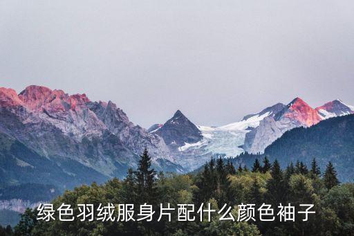 綠色羽絨服身片配什么顏色袖子