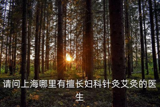 請問上海哪里有擅長婦科針灸艾灸的醫生