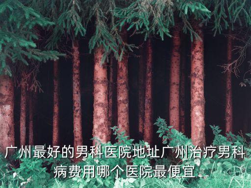 廣州最好的男科醫院地址廣州治療男科病費用哪個醫院最便宜