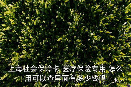 上海社會(huì)保障卡 醫(yī)療保險(xiǎn)專用 怎么用可以查里面有多少錢嗎