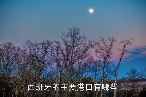 西班牙的主要港口有哪些