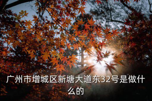 廣州市增城區(qū)新塘大道東32號是做什么的