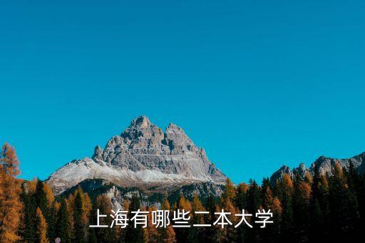 上海市二本學(xué)院有哪些大學(xué)，上海有哪些二本大學(xué)