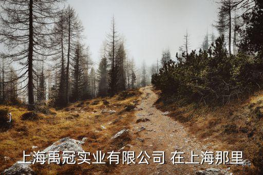 上海市工人先鋒號(hào)企業(yè)，上海環(huán)旭電子有限公司的地址