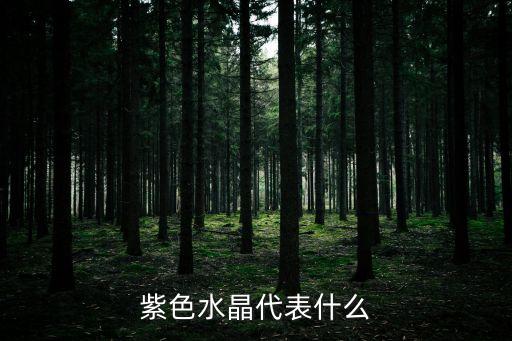紫色水晶，紫色水晶代表什么