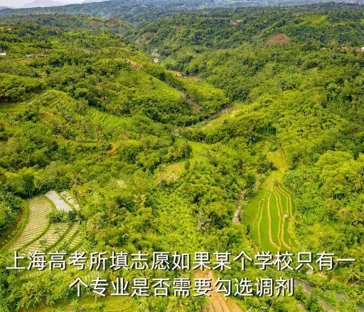 上海市志愿填報表調劑，上海高考所填志愿如果某個學校只有一個專業是否需要勾選調劑
