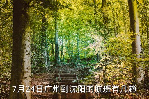 今天廣州飛沈陽的航班都有哪些，今天從廣州到沈陽的飛機哪趟是晚上七點起飛的急求答案