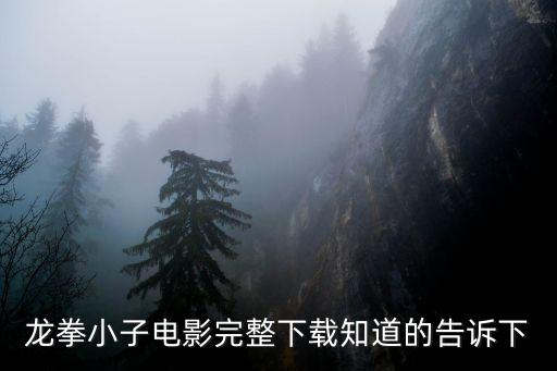 龍拳小子電影完整下載知道的告訴下