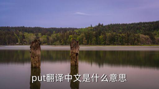 put翻譯中文是什么意思