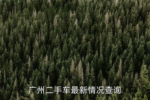 廣州小桔二手車，廣州二手汽車網