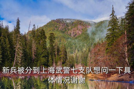 上海市武警總隊(duì)第十支隊(duì)七中隊(duì)，新兵被分到上海武警七支隊(duì)想問(wèn)一下具體情況謝謝