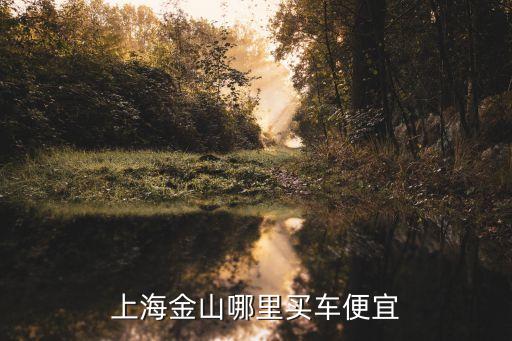 上海市哪里買車便宜，5月前準(zhǔn)備把車買了看了下很多網(wǎng)站汽車價格都差不多到底上海