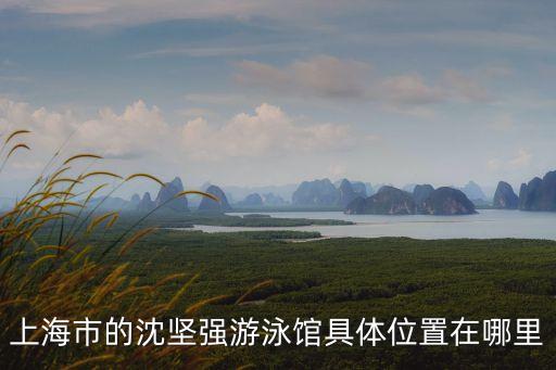 上海市沈堅強游泳館，上海市的沈堅強游泳館具體位置在哪里