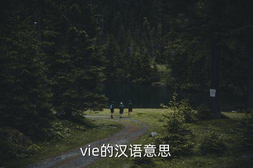 vying，有沒有字母V和Y連在一起的單詞啊