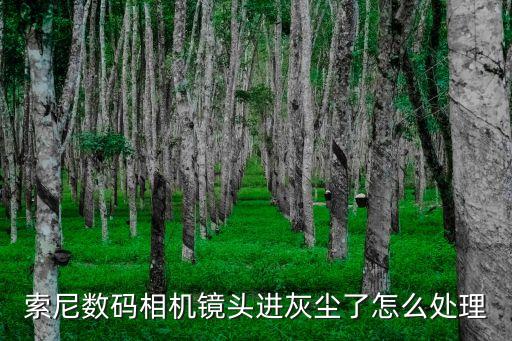 索尼數(shù)碼相機鏡頭進灰塵了怎么處理