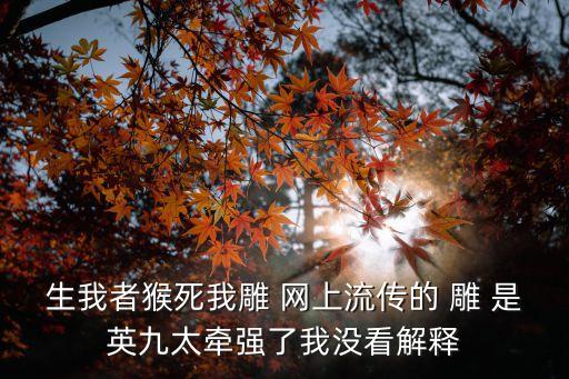英九，生我者猴死我雕 網上流傳的 雕 是英九太牽強了我沒看解釋