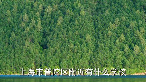 上海市普陀區附近有什么學校