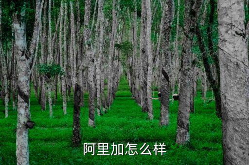 阿里加商學(xué)院廣州有限公司怎么樣，想學(xué)招商這塊大家有好的建議嗎我朋友叫去阿里加跟吳帝聰學(xué)