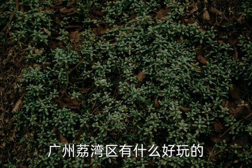 廣州荔灣區有什么好玩的