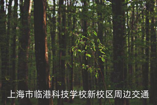 上海市臨港科技學(xué)校新校區(qū)周邊交通