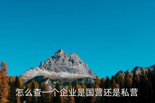 廣州南油是國企還是私企，怎么查一個企業是國營還是私營
