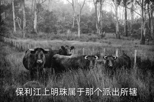 保利江上明珠屬于那個(gè)派出所轄