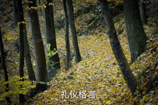 關(guān)于禮儀的名言，關(guān)于文明禮儀的名句