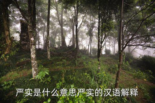 嚴(yán)實是什么意思嚴(yán)實的漢語解釋