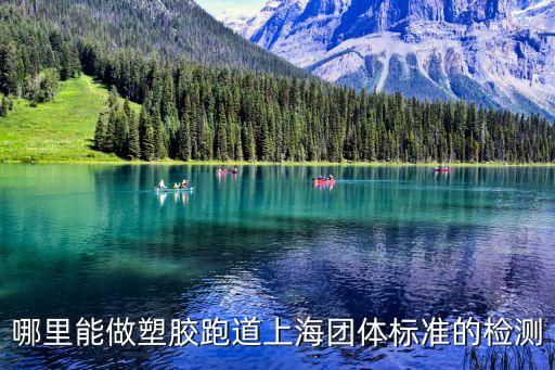 上海市團體標準查詢，哪里能做塑膠跑道上海團體標準的檢測