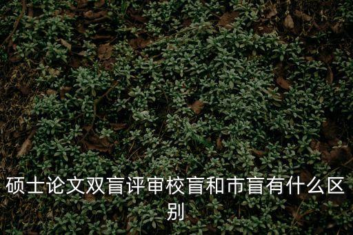 碩士論文雙盲評審校盲和市盲有什么區別