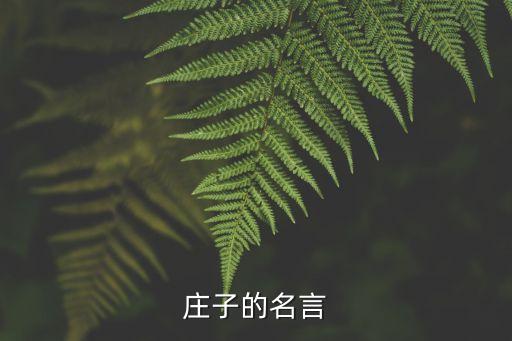 莊子的名言，莊子的名言