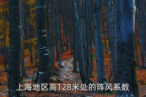 上海地區(qū)高128米處的陣風系數(shù)